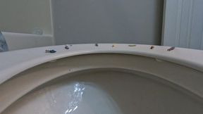 Tinies on Giantess Toilet 4K