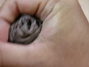 包茎チンポオナニー射精#8　Phimosis cock masturbation ejaculation#8