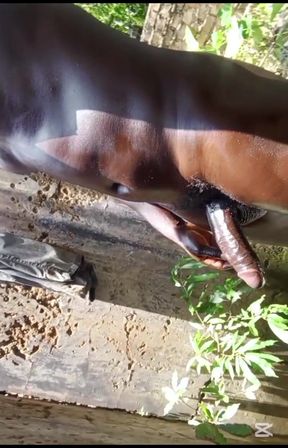 BBC Roughly Handled Outdoor Massage