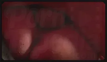 Alicia Rhodes & Jemstone Big Tits Threesome Anal Action