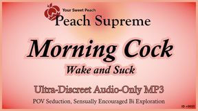 Morning Cock: Wake and Suck [POV Seduction Erotic Audio] [Sensually Encouraged Bi Exploration] [12+ minutes] ***Ultra-Discreet Audio-Only MP3***