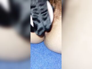 Pawg -three