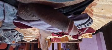 masturbation hand job Big Daddy dick amateur masturbation hand job teen ass