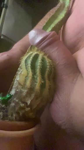 Cactus fuck