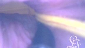 pov: laying eggs while you re inside my ass