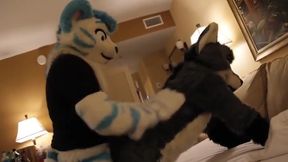 Fursuit sex 42