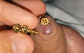 Hammering How Many Screws the Penis Can Hold.