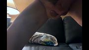 Huge Veiny Cock Pulses In Steady Rhythm, Pure Sensory Overload