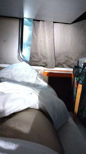 Masturbating in a train.