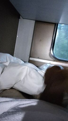 Masturbating in a train.