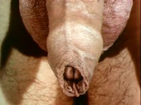 Explicit Sex Scenes from Sexual Freedom in Denmark (1970)