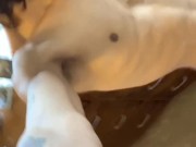 Hung Emo Twink Loves Stroking His Massive Cock