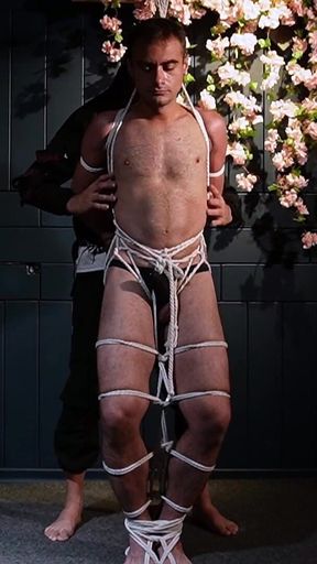 Zeus Sensual Bondage in Suspension