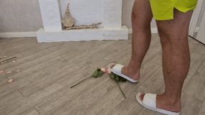 STOMPING ROSES (bf)