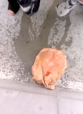 I messed up the garbage that was thrown away with pee.