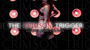 THE CRIMSON TRIGGER - Gooner Brain Control MP3