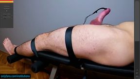 He Fights Like He Can Escape. Electro Edging Owns His Cock Anyway.