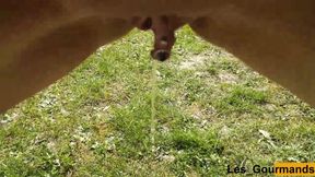 Compilation of my SelfPee