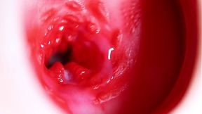Big Head Slides Inside Best Friend's Juicy Hole!