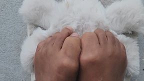 Fluffy Slippers feet, Feet in Nature, toes, Wrinkled bottoms