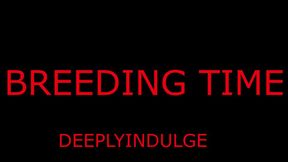 BREEDING TIME FOR YOUR PUSSY DADDY GETS YOU PREGGO (AUDIO ROLEPLAY) BREEDING BULL