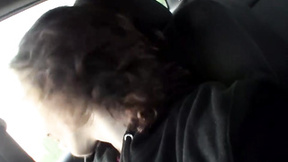 Lustful skater dude Sean Johansen masturbates in a car