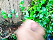 Dan ganas en el bosque