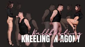 Kneeling in Agony - Ballbusting