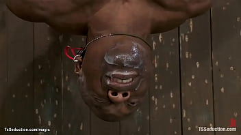 Black shemale and bound guy blowjob