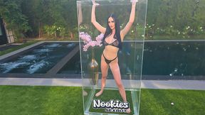 ”Sexbot Programmed - Violet Voss - Nookies”
