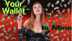 Your Wallet Is Mine WMV
