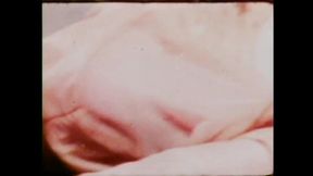 Once Upon a Time in America XXX - (vol. #03)