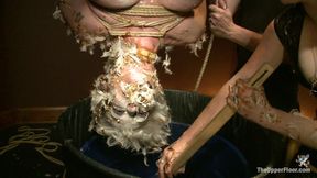 The Destruction of Torn