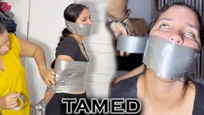 Tamed By Duct Tape