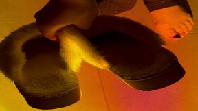 mes chaussons en fourrure bien odorants avec des insultes