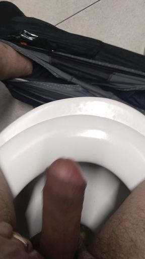Handjob on Toilet
