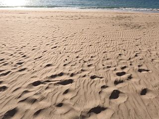 Towel Secret - I Helped Him Cum Underneath the Beach Towel