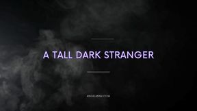 76.  A Tall Dark Stanger