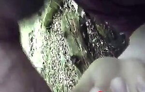 Bear Cub Blows a Load in His Mouth and Swallows