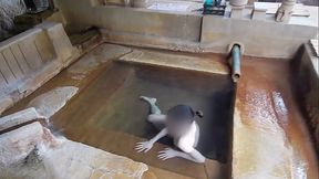 Bathing in the public mixed bath