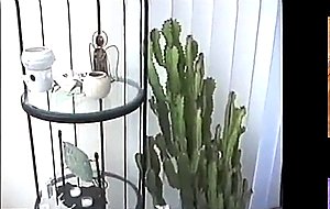 Slim ebony ts gets her dong sucked before anal