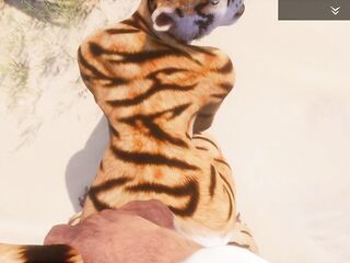 Wild Life / Tiger Yiff Porn POV