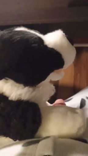 Border Collie Plushie Licks And Makes Onesie Pubby Cum!