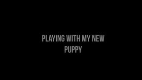 Playing with my new puppy