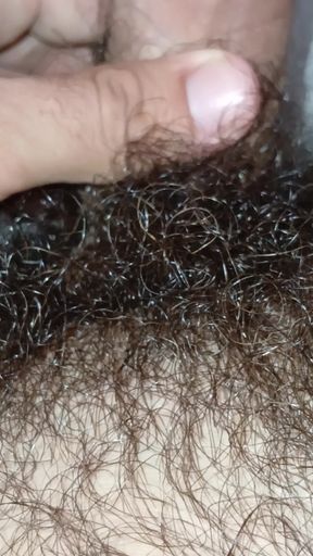 hard cock close up