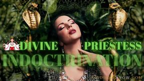Divine Priestess : Indoctrination