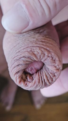 Horny uncut guy playing with long foreskin precum and cumshot