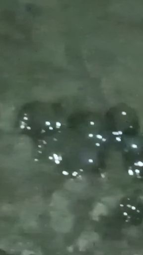 Real Amateur Solo Male Homemade Video Private Room   Clip 1