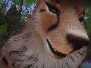 Wildlife Furry Gay Porn (Kral_Rawn)