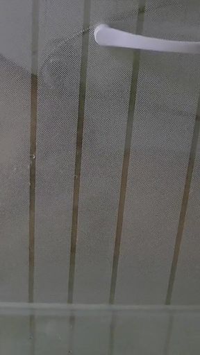 Immersed with a Slut in Her Shower!